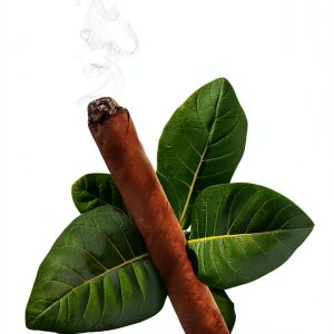 Cuba History Book for Kindle Unlimited-0